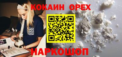 прущие грибы Камышлов