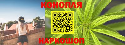 прущие грибы Камышлов