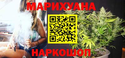 прущие грибы Камышлов
