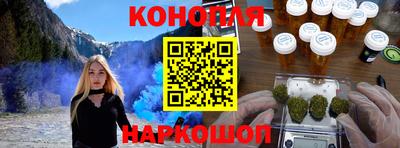 прущие грибы Камышлов