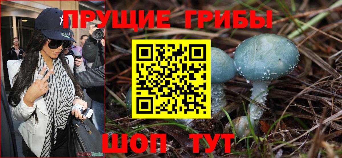 Галлюциногенные грибы Psilocybe  наркошоп  Геленджик  Вход с VPN 