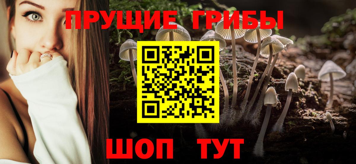 Псилоцибиновые грибы ЛСД Геленджик